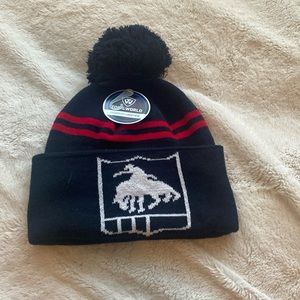Native End of Trail beanie